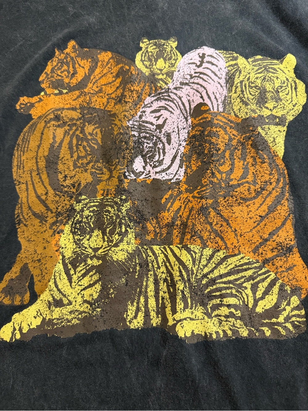 Three Bird Nest Distressed Tee with Yellow, Orange & Pink Tiger Graphic